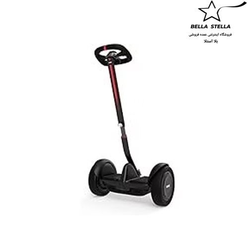 اسکوتر خود متعادل کننده هوشمند segway ninebot S/S max S/2