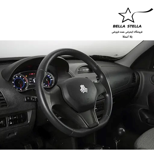 ساینا دوگانه - تصویر 3