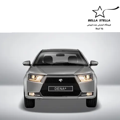 دنا پلاس دنده ای - تصویر 2