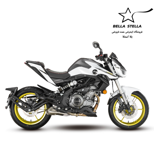 اس‌آر‌کی 249 تیپ 2 ای‌‎‌‌بی‌اس