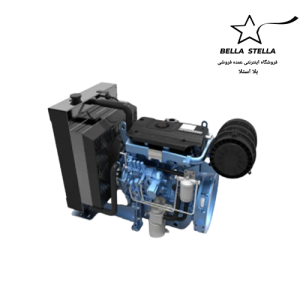 دیزل ژنراتور بادوین 4M06G50/5 (حدود 45 kVA)