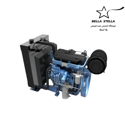 دیزل ژنراتور بادوین 4M06G50/5 (حدود 45 kVA)