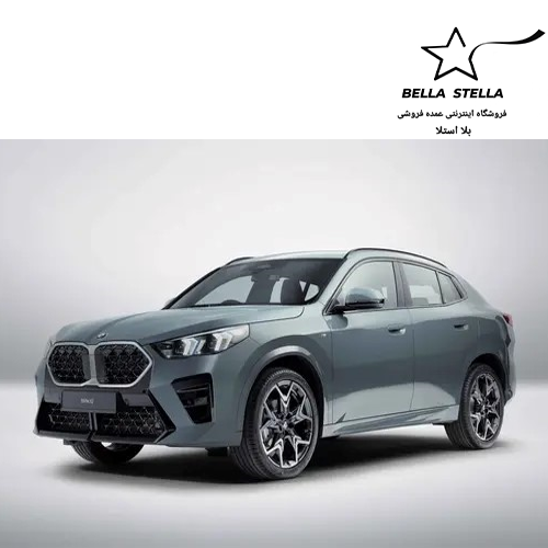 ب ام و X2 sDrive 25i