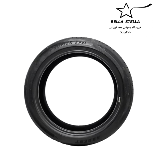 لاستیک آردنت سایز 205/50/17 مدل 2025-AP01 - تصویر 3